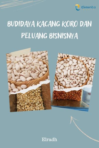 Budidaya Kacang Koro dan Peluang Bisnisnya